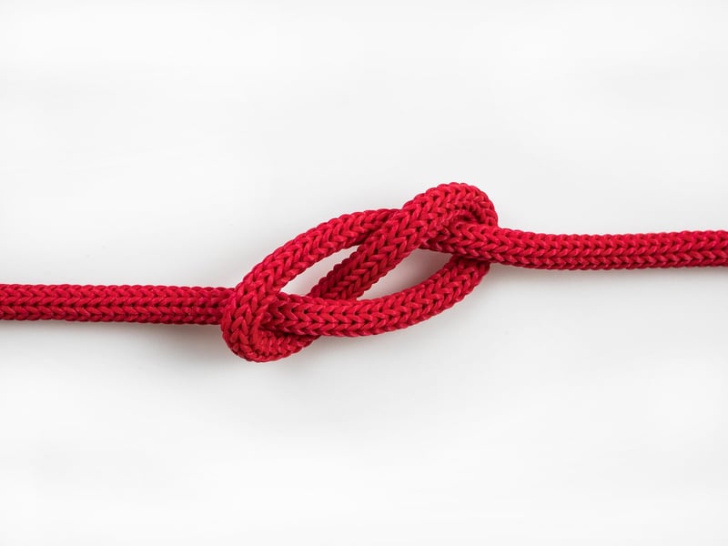Tangy Umami Twist